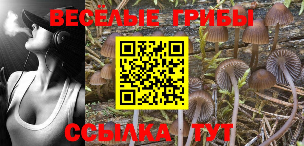 Галлюциногенные грибы мухоморы Барабинск