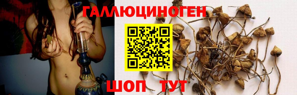 Псилоцибиновые грибы Psilocybine cubensis  наркошоп  Вход с VPN  Барабинск  Галлюциногенные грибы мухоморы 